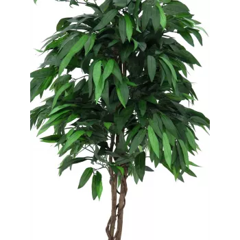 EUROPALMS albero della giungla di mango artificiale, 180 cm 82506726