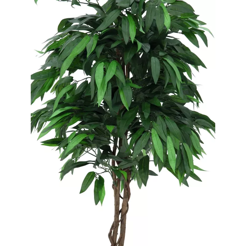 EUROPALMS albero della giungla di mango artificiale, 180 cm 82506726
