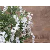 EUROPALMS albero della pioggia dorata artificiale, fiori bianchi, 180cm 82507106