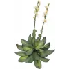 EUROPALMS Rosa di pietra (EVA) pianta artificiale, giallo, 32 cm 82530573