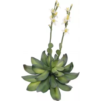 EUROPALMS Rosa di pietra (EVA) pianta artificiale, giallo, 32 cm 82530573