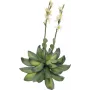 EUROPALMS Rosa di pietra (EVA) pianta artificiale, giallo, 32 cm 82530573
