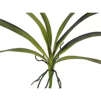 EUROPALMS Foglia di orchidea artificiale (EVA), verde, 45 cm 82530574