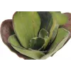EUROPALMS Ninfea artificiale (EVA), chiusa, verde, 45 cm 82530575