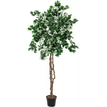 EUROPALMS Pianta artificiale Bougainvillea, bianco, 180 cm 82507086