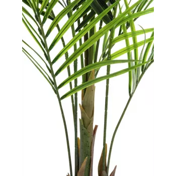 EUROPALMS Pianta artificiale Areca a foglia larga, 165 cm 82509441