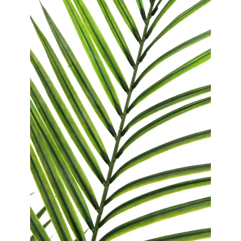 EUROPALMS Pianta artificiale Areca a foglia larga, 165 cm 82509441
