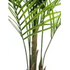 EUROPALMS Pianta artificiale Areca a foglia larga, 165 cm 82509441