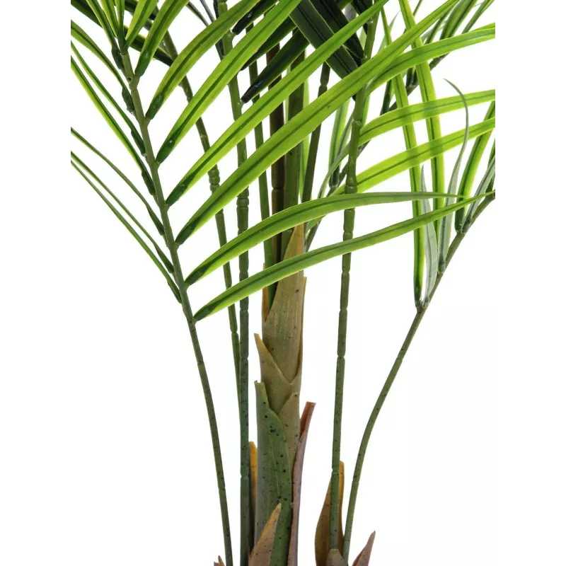 EUROPALMS Pianta artificiale Areca a foglia larga, 165 cm 82509441