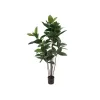 EUROPALMS Pianta artificiale ficus elastica, 120 cm 82600150
