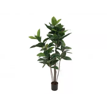 EUROPALMS Pianta artificiale ficus elastica, 120 cm 82600150