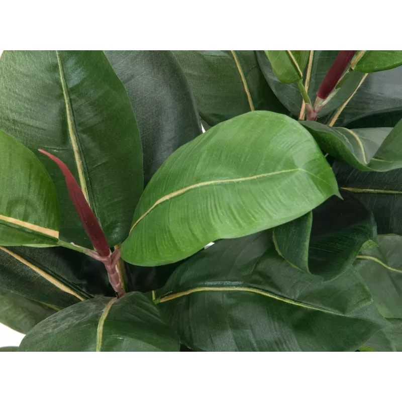 EUROPALMS Pianta artificiale ficus elastica, 120 cm 82600150