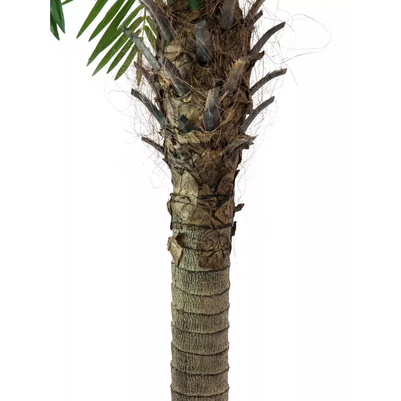 EUROPALMS Palma Phoenix Luxor, pianta artificiale, 240 cm 82510722