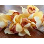 EUROPALMS Ramo di cymbidium artificiale, giallo, 90 cm 82530314