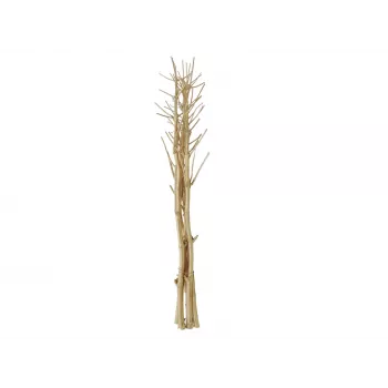 EUROPALMS Mazzo di finocchio essiccato, oro, 160 cm 83502363