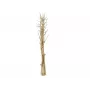 EUROPALMS Mazzo di finocchio essiccato, oro, 160 cm 83502363