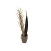 EUROPALMS Mazzo di finocchio essiccato, oro, 160 cm 83502363