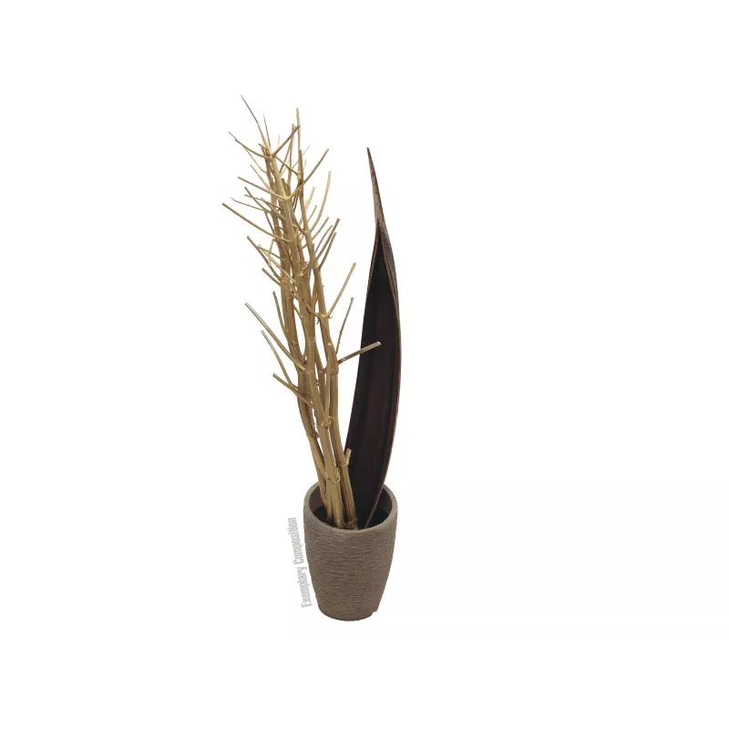 EUROPALMS Mazzo di finocchio essiccato, oro, 160 cm 83502363