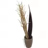 EUROPALMS Mazzo di finocchio essiccato, oro, 160 cm 83502363