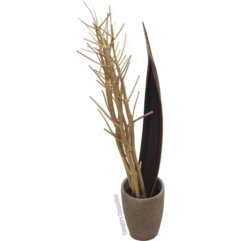 EUROPALMS Mazzo di finocchio essiccato, oro, 160 cm 83502363
