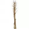 EUROPALMS Mazzo di finocchio essiccato, oro, 160 cm 83502363