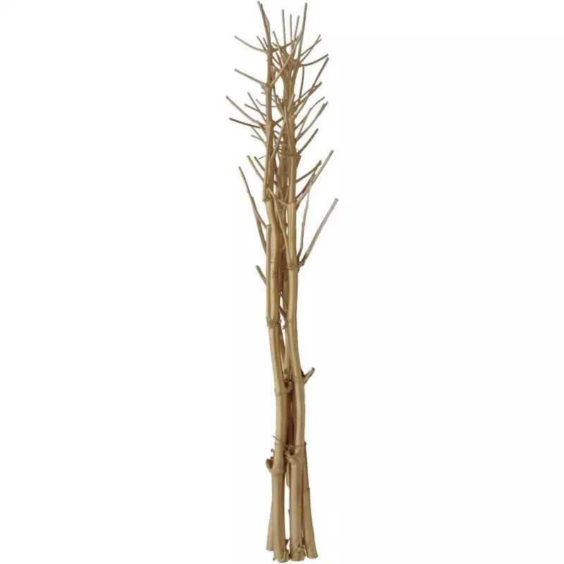 EUROPALMS Mazzo di finocchio essiccato, oro, 160 cm 83502363