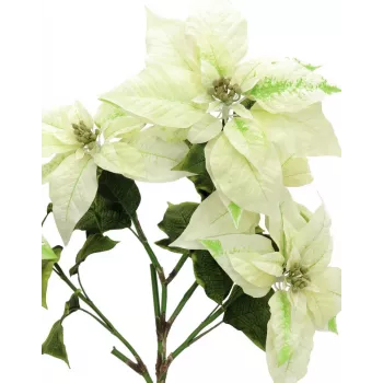 EUROPALMS Cespuglio di stella di Natale artificiale, crema, 60 cm 83500433