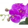 EUROPALMS Composizione floreale artificiale 4, Phalaenopsis bianche in vaso in ceramica, 60 cm 82530349