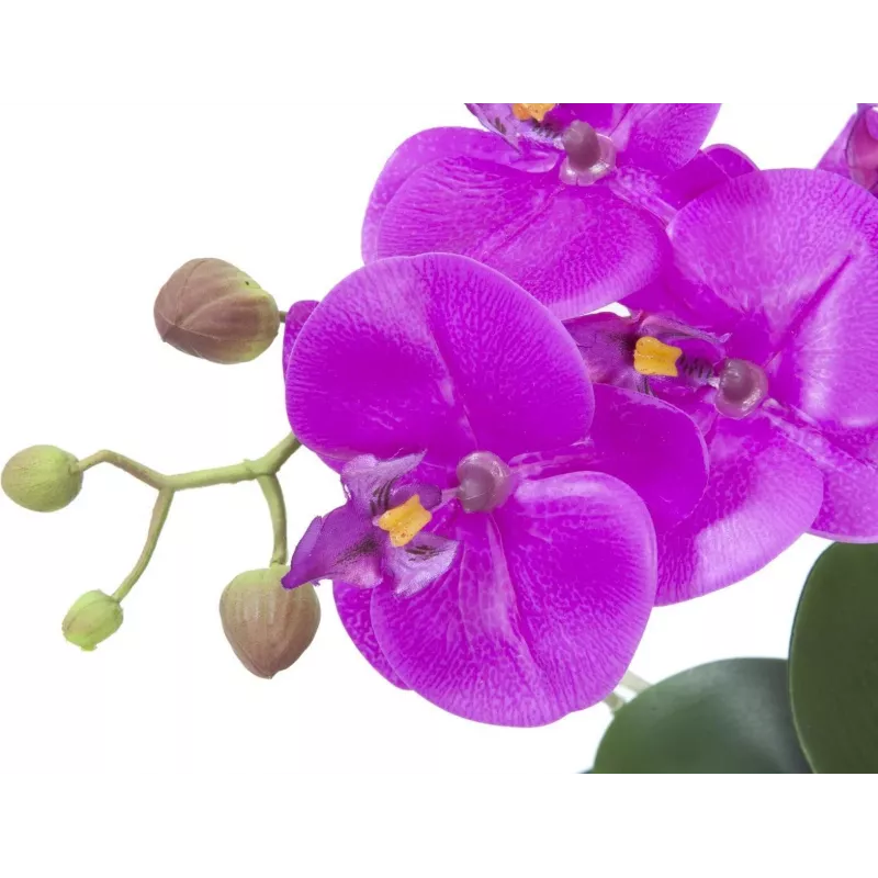 EUROPALMS Composizione floreale artificiale 4, Phalaenopsis bianche in vaso in ceramica, 60 cm 82530349