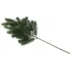 EUROPALMS Ramo di abete, PE, 65 cm 83500420