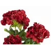 EUROPALMS Geranio artificiale, rosso scuro, 42 cm 82600112