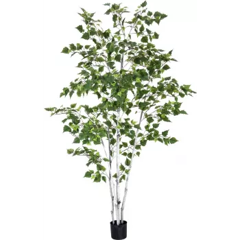 EUROPALMS betulla artificiale, 210 cm 82505232