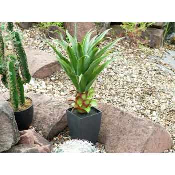 EUROPALMS agave in vaso, pianta artificiale, 75cm 82600160