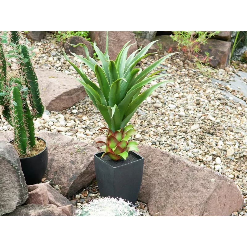 EUROPALMS agave in vaso, pianta artificiale, 75cm 82600160