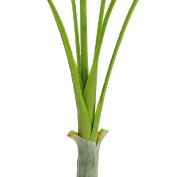 EUROPALMS Areca deluxe pianta artificiale, 180cm 82509443