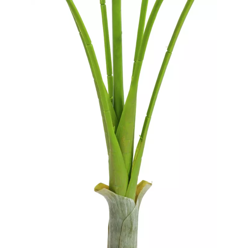 EUROPALMS Areca deluxe pianta artificiale, 180cm 82509443
