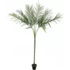 EUROPALMS Areca deluxe pianta artificiale, 180cm 82509443