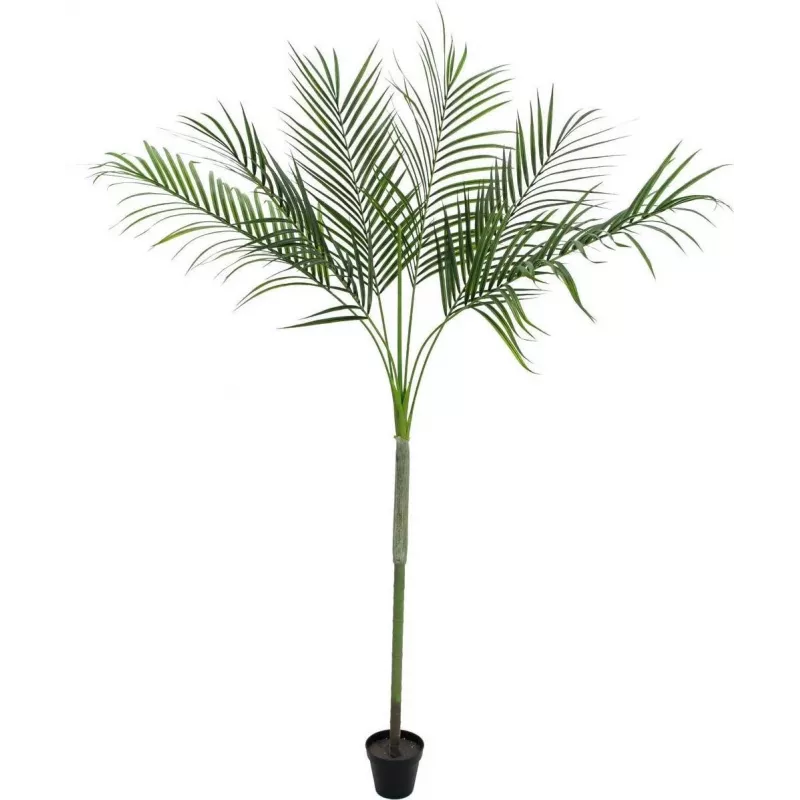 EUROPALMS Areca deluxe pianta artificiale, 180cm 82509443