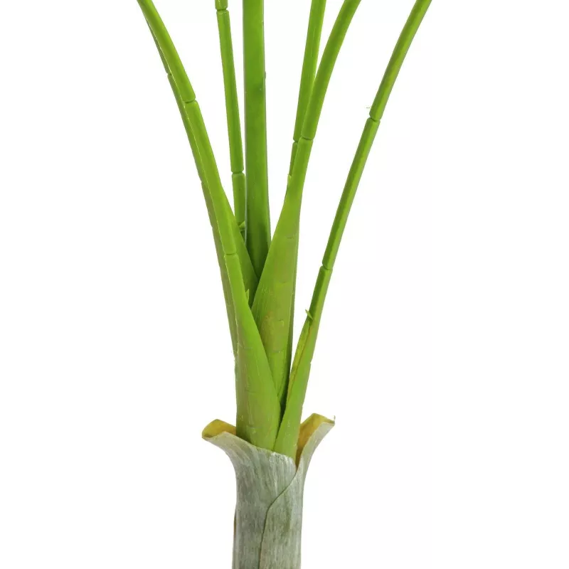 EUROPALMS Areca deluxe pianta artificiale, 180cm 82509443