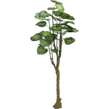 EUROPALMS Pothos albero pianta artificiale 175cm 82600163