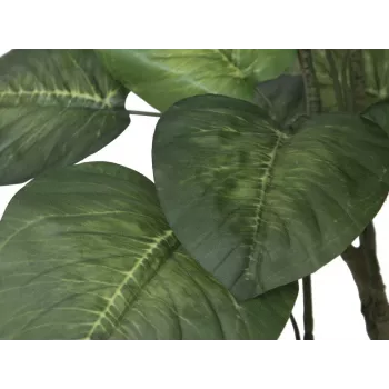 EUROPALMS Pothos albero pianta artificiale 175cm 82600163