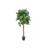 EUROPALMS albero di limone artificiale, 180cm 82507816