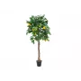 EUROPALMS albero di limone artificiale, 180cm 82507816