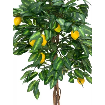 EUROPALMS albero di limone artificiale, 180cm 82507816
