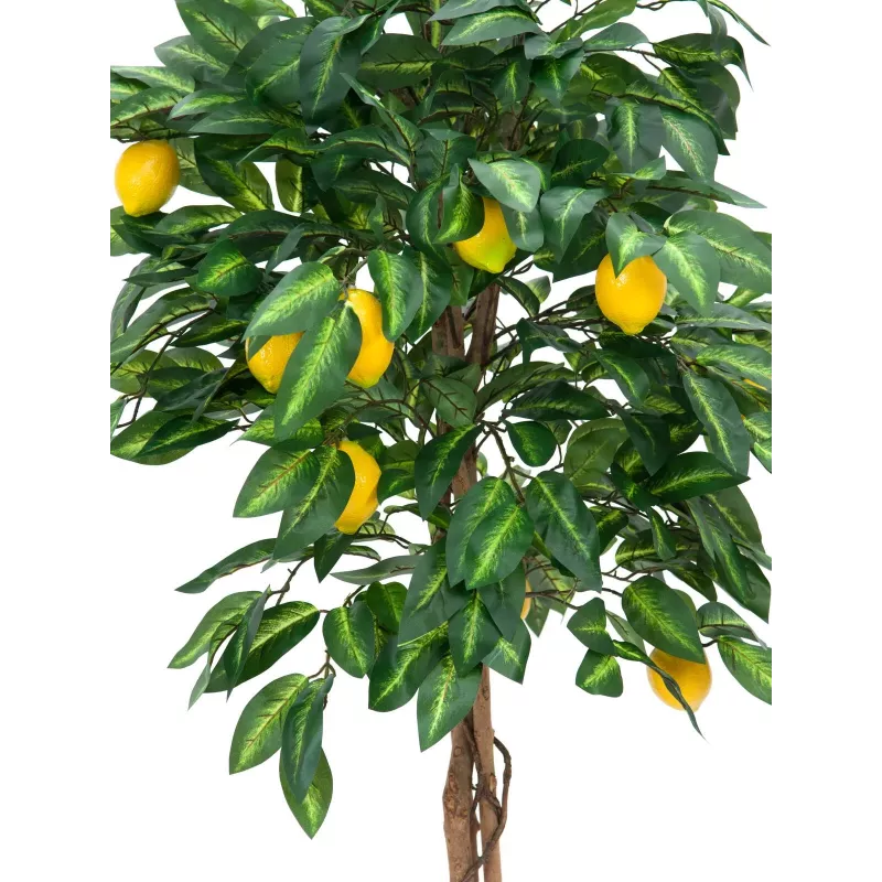 EUROPALMS albero di limone artificiale, 180cm 82507816