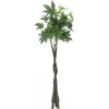 EUROPALMS Pachira albero del denaro artificiale, 160cm 82600165