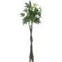 EUROPALMS Pachira albero del denaro artificiale, 160cm 82600165