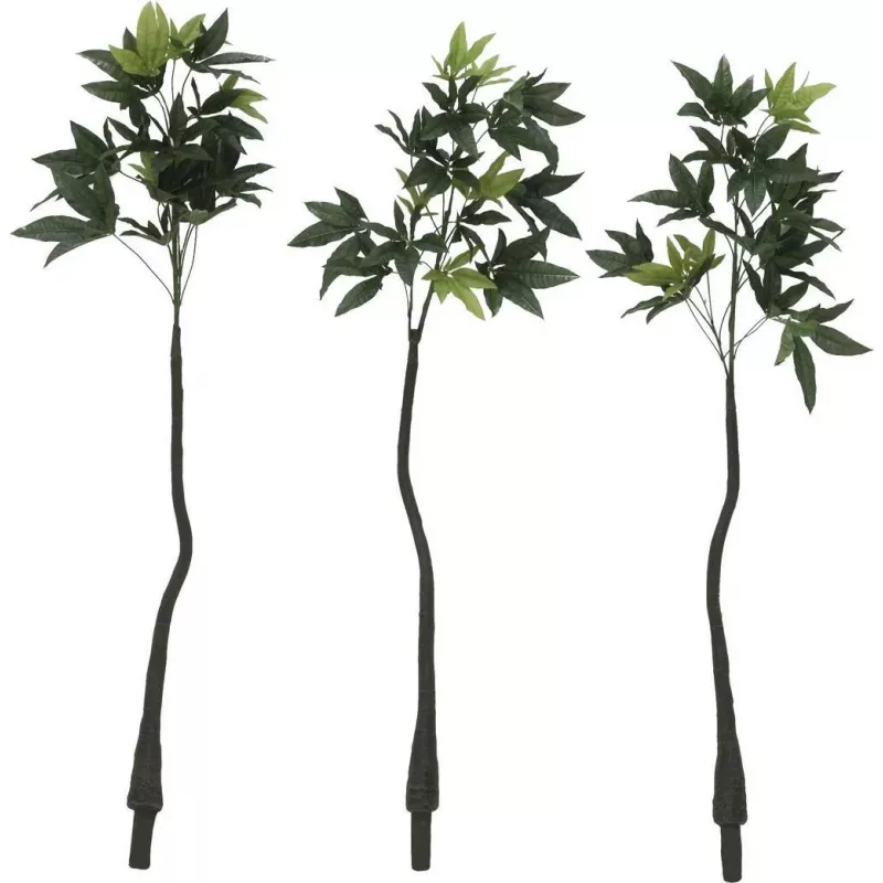 EUROPALMS Pachira albero del denaro artificiale, 160cm 82600165