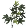 EUROPALMS Pachira albero del denaro artificiale, 160cm 82600165