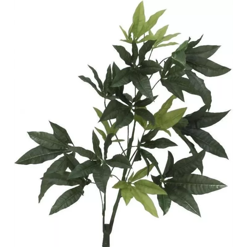 EUROPALMS Pachira albero del denaro artificiale, 160cm 82600165